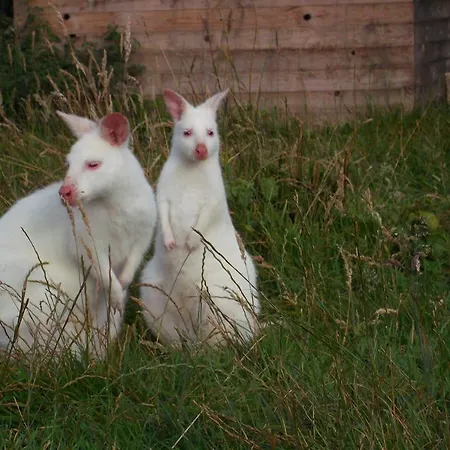 Luxusní stan Yourte-kota-etretat *