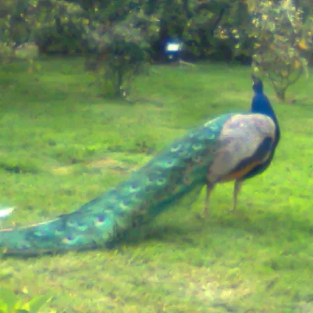 Luxusní stan Yourte-kota-etretat