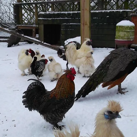 Yourte-kota-etretat *