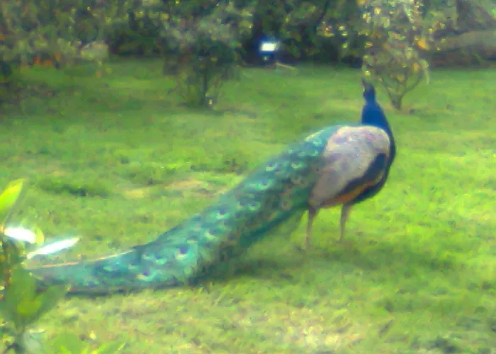 Lüks kamp alanı Yourte-kota-etretat