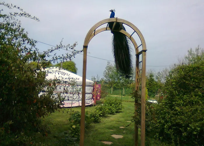 Lüks kamp alanı Yourte-kota-etretat